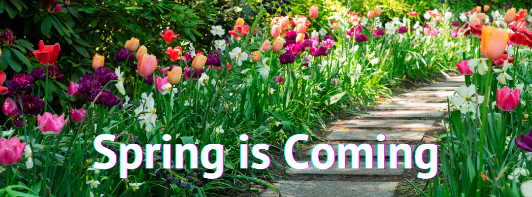 Spring is Coming: How to Prevent Pests Before They Invade Your Home