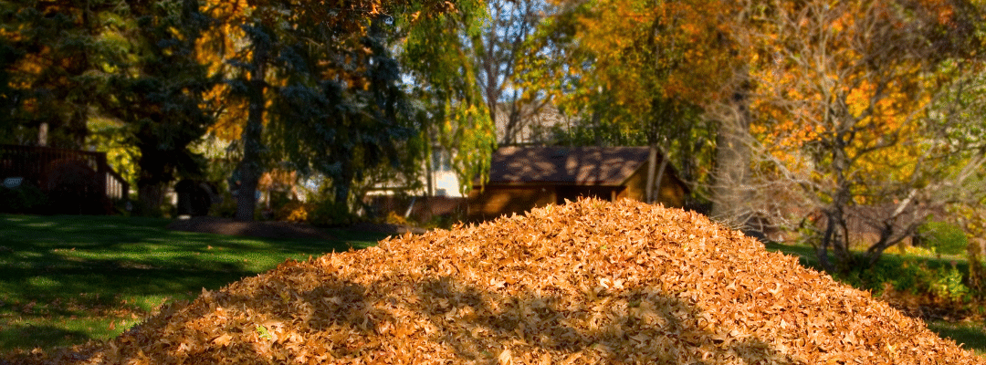 Fall Cleanup Tips to Keep Pests Out of Your Home