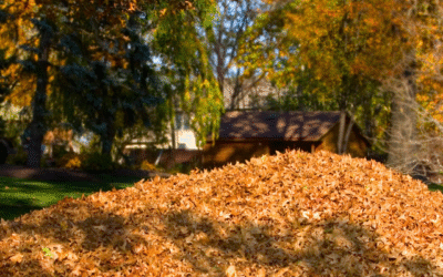 Fall Cleanup Tips to Keep Pests Out of Your Home
